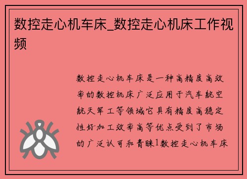 数控走心机车床_数控走心机床工作视频